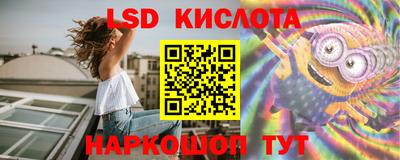 молекула духа Новозыбков