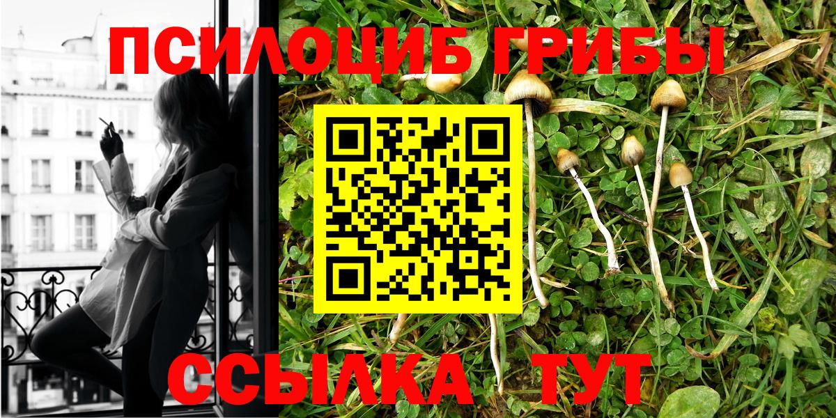 Рязань  Псилоцибиновые грибы мицелий  Вход с VPN 