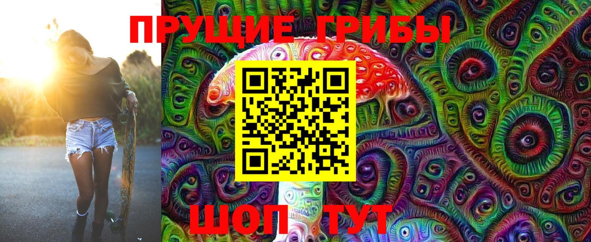 Галлюциногенные грибы Cubensis Рязань